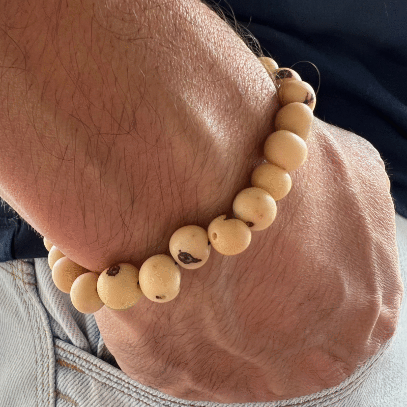 pulseira-vitanza-de-semente-de-acai-bege-detalhe pulseira-vitanza-de-semente-de-acai-bege-detalhe